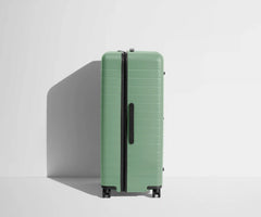 The Trunk in Sea Green